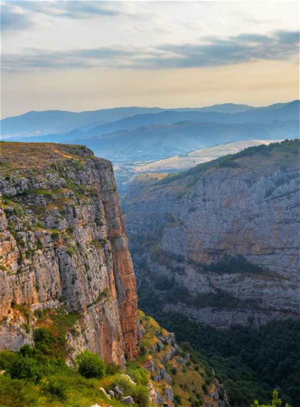 The Resilient Beauty